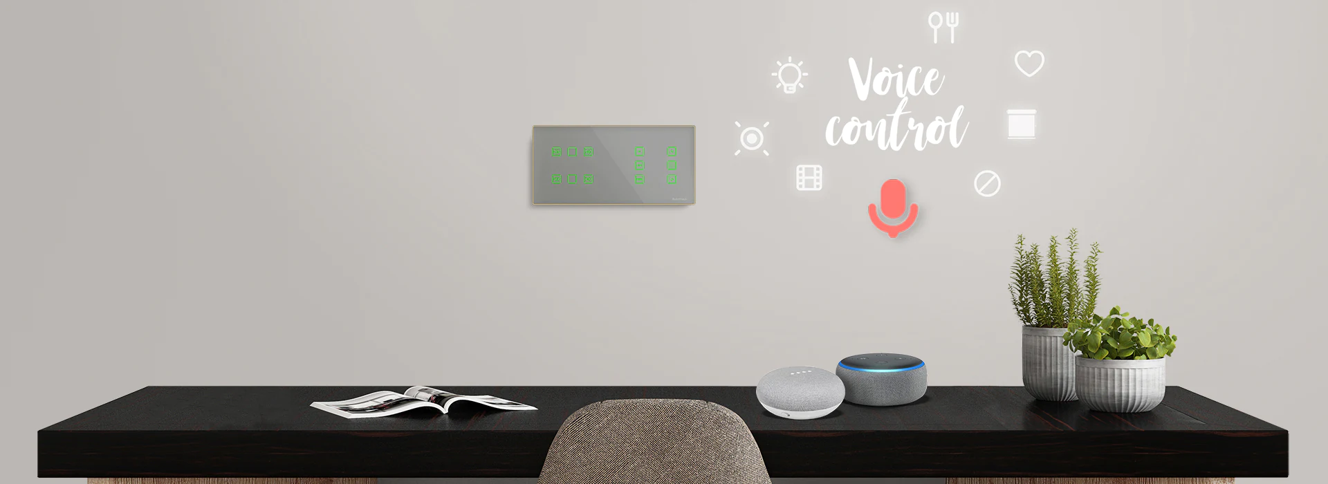 touch control switch with voice assistant